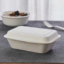 Bagasse Meal Box with Hinged Lid