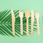 The New Era of Eco-Friendly Cutlery