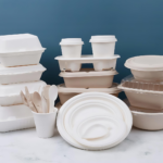 Rise of Bagasse Products